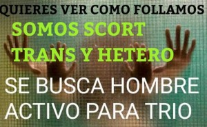Trio casi grati Escort putos hombres, putas mujeres, travestis de todas las regiones en Santiago |  Trio hombre 22 y trans 18 ven trio ven follemos o miranos , Quieres vernos como follamos boyerista ahora ven ven