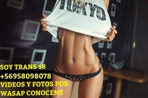 Cataleya 18 a&ntilde;o Escort putos hombres, putas mujeres, travestis de todas las regiones en Santiago |  Cataleya 18 full anal y oral activa y pasiva wasapeame +56958098078  d, Te lo mamo mejor k mina mira mis videos mios reales